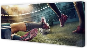 Fotoobraz na płótnie Sprzęt Piłkarski Na Murawie