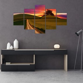 Obraz pola z zachodem słońca (125x70 cm)