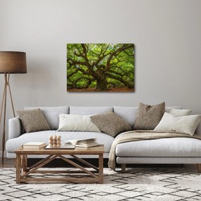 Obraz - Zielone drzewo (70x50 cm)