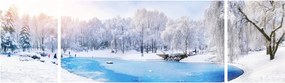 Obraz - Lodowe jezioro (170x50 cm)
