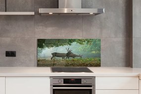 Panel nad Blat Kuchenny Jeleń w Jesiennej Aurze