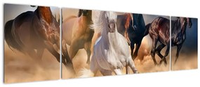 Obraz - Konie na pustyni (170x50 cm)