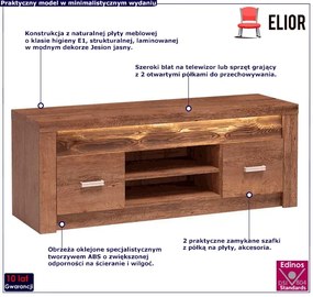 Szafka RTV jesion jasny - Filin 10X