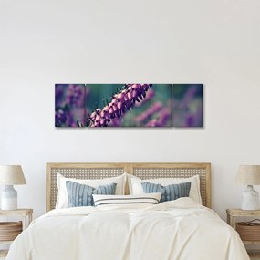 Obraz fioletowego kwiatu (170x50 cm)
