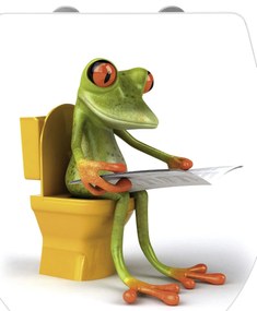 Deska sedesowa FROG NEWS, Duroplast, WENKO