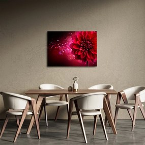 Obraz na szkle - czerwone kwiaty (70x50 cm)