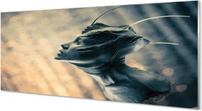 Szklany Panel Zarys Głowy Postaci