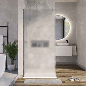 Ścianka prysznicowa Walk-In EX101