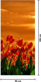 Fototapeta na drzwi - Kwitnąca lina z tulipanami (95x205cm)