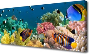 Obraz na płótnie Podwodny Świat Rafy