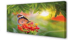 Duży obraz na płótnie Motyl wśród Kwiatów