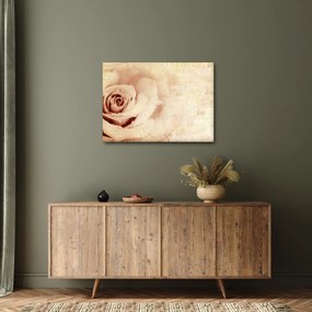 Obraz - Kwiat róży dla zakochanych (70x50 cm)