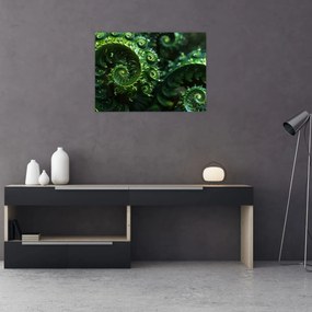 Obraz - Spirale (70x50 cm)