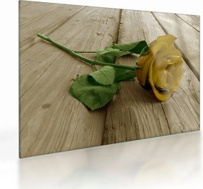 Obraz na szkle - Żółte róże w stylu vintage (70x50 cm)