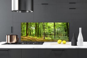 Panel Kuchenny Las Ścieżka Natura