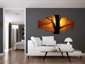 Obraz drzewa o zachodzie słońca (125x70 cm)