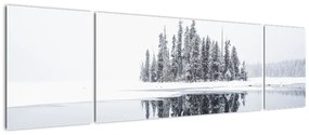 Obraz - Było biało (170x50 cm)