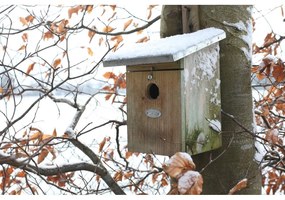Drewniana budka dla ptaków – Esschert Design
