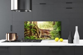 Panel Szklany Tekstura Pnia Drzewa w Lesie