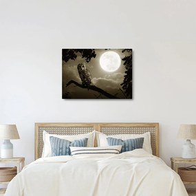 Obraz - Nocna sowa, złoty (70x50 cm)