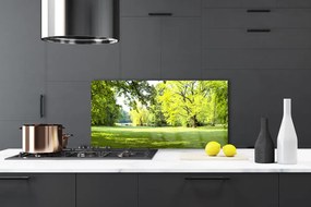 Panel Szklany Parkowa Aleja w Słońcu