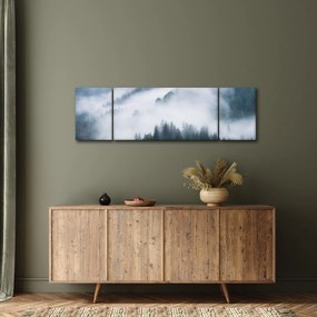 Obraz - Drzewa we mgle (170x50 cm)