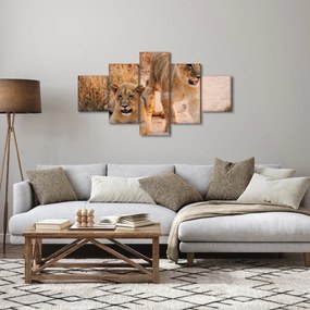Obraz lwiątek (125x70 cm)