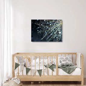 Obraz na szkle - Kwiat z pajęczyną (70x50 cm)