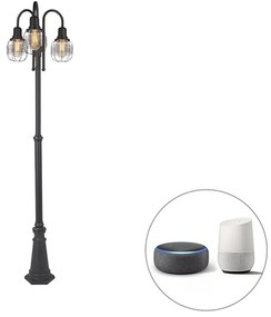 Zewnetrzna Inteligentna lampa zewnętrzna czarna 3-światłowa IP44 z WiFi ST64 - Guardado Rustykalny / Vintage Oswietlenie zewnetrzne