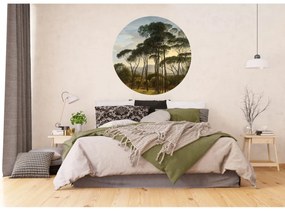 Okrągła fototapeta Stare drzewa 125 x 125 cm, 2części