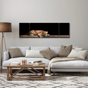 Obraz - Lwica (170x50 cm)
