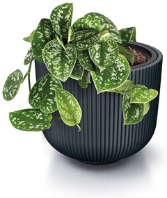 Donica ogrodowa Milly 24 x 24 x 19,7 cm antracyt PROSPERPLAST