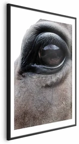 Plakat Szczere oczy 40x60 cm z ramą czarną z marginesem ARTGEIST B