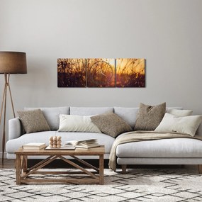 Obraz pola o zachodzie słońca (z zegarem) (90x30 cm)