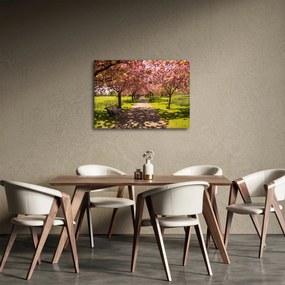 Obraz - sad czereśniowy (70x50 cm)