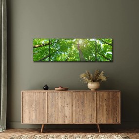 Obraz - Las (170x50 cm)