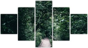 Obraz - Ścieżka przez las (125x70 cm)