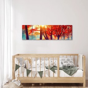 Obraz- Jesienny krajobraz (170x50 cm)