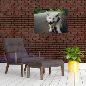 Obraz na szkle białego psa (70x50 cm)