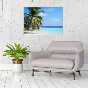 Obraz palmy na plaży (70x50 cm)