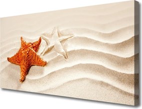 Obraz canvas Rozgwiazda na Złotym Piasku