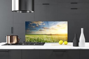 Panel Szklany Barwna Panorama Polnej Łąki