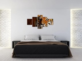 Obraz tygrysa (125x70 cm)