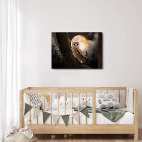 Obraz na szkle sowy palonej (70x50 cm)