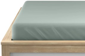 PrzytulneMieszkanie.pl Prześcieradło jersey jasnozielone 160 x 200 cm