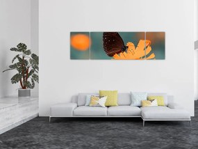 Obraz - motyl na pomarańczowym kwiatku (170x50 cm)