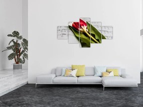 Obraz czerwonego tulipana (125x70 cm)