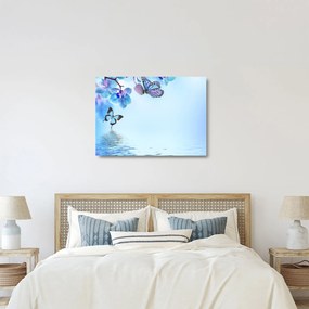 Obraz na szkle - Motyl na kwiatach orchidei, niebieski (70x50 cm)