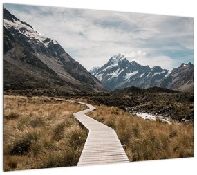 Obraz na szkle - Chodnik w dolinie góry Mt. Cook (70x50 cm)
