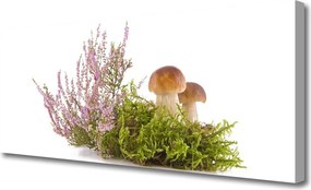 Obraz drukowany na płótnie Skarby Leśnego Poszycia